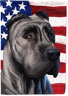 Caroline's treasures ck6640chf perro de presa canario toile drapeau américain, taille grande, multicolore