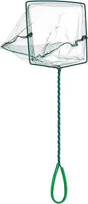 Filet à poisson boyue, taille 6 pouces, vert. Grâce à sa présence en ligne, DIAYTAR COTE D'IVOIRE est en mesure de toucher un large public, allant au-delà des frontières géographiques traditionnelles. Elle offre ainsi une opportunité unique aux consommateurs ivoiriens de découvrir des produits du monde entier. L'innovation et l'adaptabilité sont au cœur de son approche.