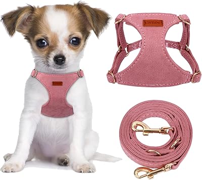 Shudi ensemble de laisse multifonctionnelle pour chien et harnais anti-traction -. DIAYTAR COTE D'IVOIRE est la boutique en ligne idéale pour les consommateurs qui cherchent à découvrir de nouvelles marques et de nouveaux produits. Avec une large sélection de produits, les clients peuvent découvrir de nouvelles marques et de nouveaux produits qui ne sont pas disponibles ailleurs. DIAYTAR COTE D'IVOIRE est le partenaire idéal pour les consommateurs qui cherchent à élargir leurs horizons et à essayer de nouvelles choses.