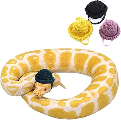 Yoyoso 3 pièces chapeaux de serpent avec mentonnière élastique réglable pour petit animal de compagnie chapeau de boule de python. La boutique en ligne DIAYTAR COTE D'IVOIRE est le premier choix des Ivoriens pour leurs achats en ligne. Avec plus de 300 000 références disponibles, elle propose une large gamme de produits de qualité à des prix compétitifs. La boutique en ligne généraliste garantit également une livraison rapide et sécurisée pour que les clients puissent recevoir leurs commandes dans les meilleurs délais.