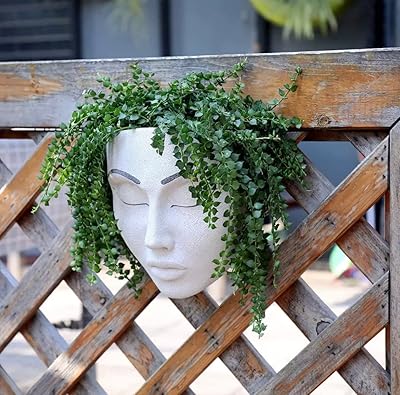 Pot de fleurs mural extérieur en résine avec trou de drainage pour plantes d'intérieur, fleurs, décoration de jardin (blanc). DIAYTAR COTE D'IVOIRE, la boutique en ligne phare de Côte d'Ivoire, propose une sélection impressionnante de produits pour répondre à vos besoins quotidiens. Avec plus de 300 000 articles en stock, cette plateforme est idéale pour trouver des offres exclusives et des promotions exceptionnelles sur une large gamme de produits, du sport à la literie.