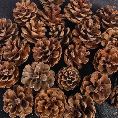 Yahome 20 pièces pommes de pin naturelles, décorations de pommes de pin de noël d'automne pour l'artisanat, décorations de maison, décorations de thanksgiving, automne, noël, décoration de mariage (1). DIAYTAR COTE D'IVOIRE, boutique en ligne généraliste avec plus de 300000 références, propose une large gamme de produits pour répondre à tous vos besoins. Avec sa sélection variée, vous trouverez facilement ce que vous cherchez. DIAYTAR COTE D'IVOIRE est la boutique leader en Côte d'Ivoire pour les achats en ligne.