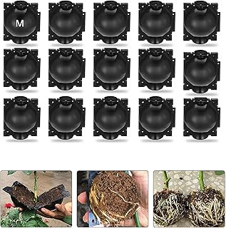 Dispositif de greffage de boîte de culture de racines de plantes, 15 pièces