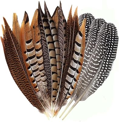Plumes volantes 20 pièces plumes de faisan naturelles 4 styles 25-30 cm pour la décoration de la maison et l'artisanat de mariage ff03. La boutique en ligne DIAYTAR COTE D'IVOIRE est une destination de shopping en ligne populaire pour les consommateurs ivoiriens, avec plus de 300 000 produits à choisir. La boutique propose une expérience de shopping sécurisée et pratique, permettant aux clients de parcourir facilement les différentes catégories de produits et de passer commande en ligne. Elle offre également des promotions régulières et des offres spéciales pour rendre le shopping encore plus attractif.