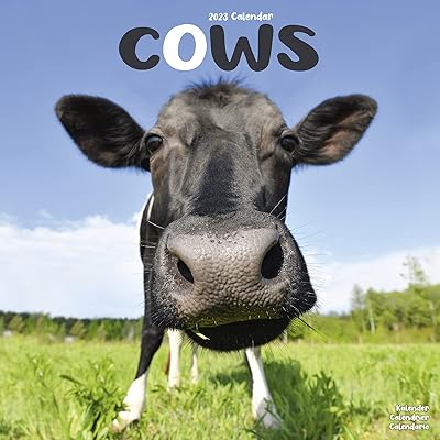 Calendrier mural vaches 2023