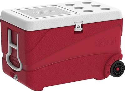 Glacière en plastique cosmoplast, glacière de luxe 84 l avec roulettes. Diaytar Côte d'Ivoire propose une expérience d'achat en ligne unique, avec des fonctionnalités de recherche avancées et des filtres pour faciliter la navigation sur notre site. Nous mettons un accent particulier sur la seguridad et la confidentialité des transactions, garantissant ainsi une expérience d'achat sécurisée pour nos clients.