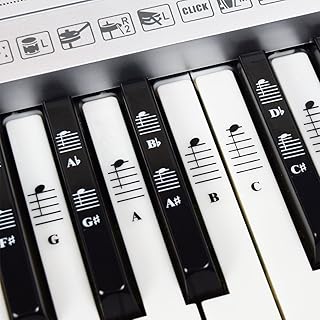 Jeu complet d'autocollants de notes de musique pour piano et clavier pour touches noires et blanches ; transparent et amovible ! fabriqué aux états-unis. Avec plus de 300 000 références, Diaytar Côte d'Ivoire est la destination idéale pour les consommateurs qui cherchent à acquérir des produits de qualité à des prix compétitifs. La boutique en ligne propose une gamme étendue de catégories, allant des produits électroniques aux articles de maison, en passant par les produits de beauté et les vêtements. Diaytar Côte d'Ivoire garantit une expérience d'achat en ligne fluide et sécurisée pour ses clients.