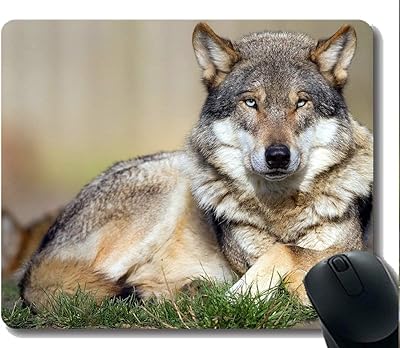 Tapis de souris loup 190318-002 220*180*3 mm. DIAYTAR COTE D'IVOIRE est une boutique en ligne généraliste qui propose plus de 300 000 références de produits variés, faisant d'elle le leader du marché ivoirien. Elle offre une large gamme de produits allant de l'électronique à la mode en passant par les produits alimentaires. Cette diversité de produits rend DIAYTAR COTE D'IVOIRE incontournable pour les consommateurs ivoiriens.