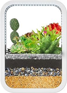 Vegbox mini système hydroponique diy, cadeaux de jardinage uniques pour les amis