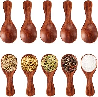 10 mini cuillères à café en bois pour servir du sel
