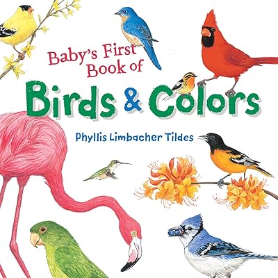 Premier livre d'oiseaux et de couleurs de bébé