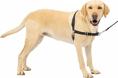 Harnais pour chien petsafe easy walk sans traction noir argent grand (ewh-hc-l-blk). DIAYTAR COTE D'IVOIRE est une boutique en ligne généraliste proposant plus de 300000 références de produits, ce qui en fait l'une des plus grandes boutiques en ligne de Côte d'Ivoire. Avec une variété de produits allant de l'électronique à la mode, en passant par les produits de maison et les denrées alimentaires, DIAYTAR COTE D'IVOIRE offre une expérience de shopping unique à ses clients. La boutique est devenue un leader dans le marché ivoirien grâce à sa large gamme de produits et à ses prix compétitifs.