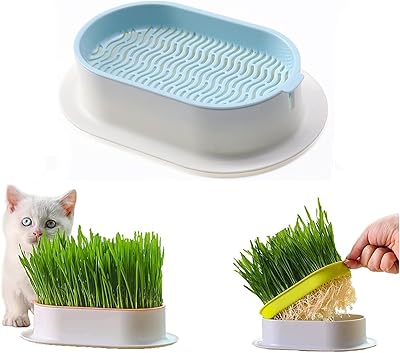 Pot de jardinière d'herbe à chat facile à cultiver, plantes de pépinière d'intérieur (couleur : b). La boutique en ligne DIAYTAR COTE D'IVOIRE propose des produits de haute qualité à des prix compétitifs. Elle est équipée d'un système de paiement sécurisé et d'un service client de haute qualité. Elle est la référence pour les achats en ligne en Côte d'Ivoire.