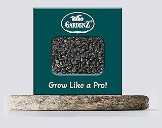 Pack de galets noirs polis gardenztm premium (20kg) 3-5cm. Diaytar Côte d'Ivoire est votre boutique en ligne généraliste de confiance, offrant une sélection massive de produits pour vous et votre famille. Nous nous efforçons de vous fournir les meilleurs produits au meilleur prix, avec une livraison rapide et sécurisée. Que vous cherchiez des produits électroniques, de la mode ou des accessoires, nous avons tout ce qu'il vous faut.