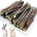 Bâtonnets de pomme 500g pour lapins, jouet à mâcher naturel pour petits animaux
