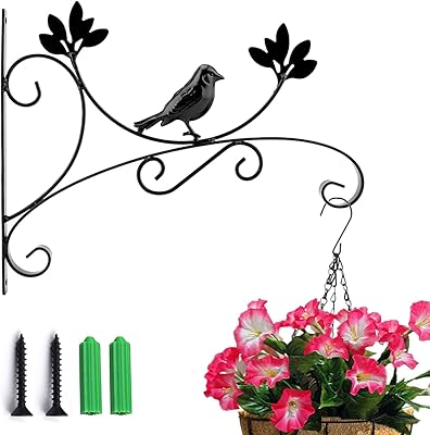 Crochet pour plantes nama avec supports de panier suspendu, 1 paquet de supports de suspension muraux en métal pour jardinière, nourriture pour oiseaux, carillons éoliens 3d oiseau noir. DIAYTAR COTE D'IVOIRE est une boutique en ligne qui propose une large gamme de produits pour répondre à tous les besoins des consommateurs ivoiriens. Elle est réputée pour son service client de qualité, ses prix compétitifs et sa grande variété de produits. Elle est la destination idéale pour les consommateurs qui cherchent des produits de qualité à des prix abordables.