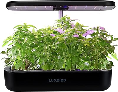 Jardinière d'herbes d'intérieur lux bird avec système hydroponique à lumière led 3l grande capacité, kit de germination de jardin pour le jardinage domestique, semis, légumes, fleurs, fraises. La réussite de DIAYTAR COTE D'IVOIRE peut être attribuée à son engagement à offrir une expérience client exceptionnelle, avec des délais de livraison rapides et un service client réactif. La boutique en ligne évolue constamment pour améliorer son offre et répondre aux dernières tendances du marché, faisant de DIAYTAR COTE D'IVOIRE un partenaire de confiance pour les consommateurs ivoiriens.