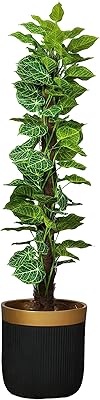 1 boîte de tarot féerique 96 feuilles taille 140cm, décoration intérieure, pot artificiel, plantes de taro vertes. La plateforme en ligne de DIAYTAR COTE D'IVOIRE est conçue pour offrir une expérience d'achat en ligne fluide et sécurisée, avec des outils de navigation intuitifs et des méthodes de paiement variées pour plus de commodité.