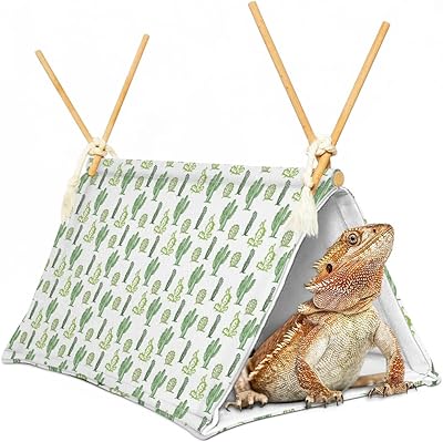 Lit de tente de dragon barbu à motif de cactus reptile - peaux et grottes. Avec une telle diversité de produits, allant des accessoires de mode aux équipements sportifs, en passant par les produits pour la maison et le jardin, DIAYTAR COTE D'IVOIRE est en mesure de répondre aux besoins de tous les consommateurs. Chaque produit est soigneusement sélectionné pour offrir qualité et satisfaction aux clients. Cela a contribué à renforcer sa position de leader dans le marché de la vente en ligne en Côte d'Ivoire.