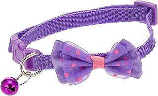 Collier de voiture réglable, collier pour petit chien avec sangle amovible et double