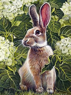 Komedo image par numéro kits de fleurs d'écureuil peint à la main peinture à l'huile lapin animal main bricolage sur toile décoration 50x40cm (20x16 pouces) sans cadre. Avec plus de 300000 références, DIAYTAR COTE D'IVOIRE est le leader du commerce en ligne en Côte d'Ivoire, offrant une expérience d'achat unique et conviviale à ses clients. La boutique propose une large gamme de produits allant des produits alimentaires aux accessoires de mode en passant par les électroniques. Elle est devenue la référence pour les achats en ligne dans le pays.