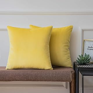 Un ensemble de housses de coussin décoratives en velours de cèdre doux, deux