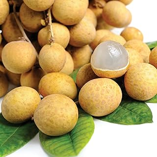 Paquet de fruits longanes. DIAYTAR COTE D'IVOIRE est la destination idéale pour vos achats en ligne, avec une sélection incroyable de produits à des prix compétitifs. Nous proposons une expérience d'achat en ligne sécurisée et pratique, avec des options de livraison rapides et fiables. Notre équipe est dédiée à offrir un service client exceptionnel.