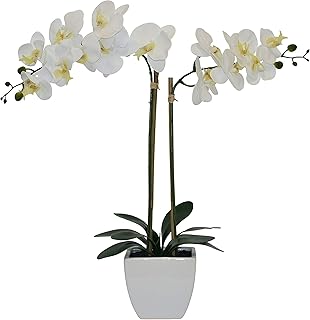 Orchidées artificielles de table nature's elements dans un vase décoratif en céramique noire, 28" (blanc, 28"). DIAYTAR COTE D'IVOIRE est une boutique en ligne généraliste qui propose plus de 300000 références de produits pour répondre à tous les besoins de ses clients. Avec sa grande variété de produits, DIAYTAR COTE D'IVOIRE est devenue la boutique leader en Cote d'Ivoire.