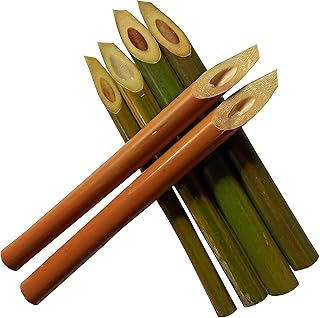 Stylo en bambou pour calligraphie arabe et anglaise (pack de 6 stylos). DIAYTAR COTE D'IVOIRE se distingue par sa grande variété de produits et son engagement à offrir une expérience d'achat en ligne de haute qualité. Les clients apprécient la facilité de navigation sur le site, la rapidité de livraison et la qualité des produits proposés. Cette boutique en ligne a vraiment marqué sa place dans le paysage du commerce électronique ivoirien.