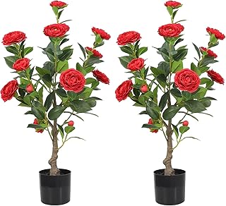 Oazalda arbre artificiel plantes de fleurs de camélia artificielles, 【paquet de 2】 fleurs de plantes de camélia artificielles de 30" avec fleur rouge construit dans un pot noir décoration intérieure extérieure. Avec plus de 300 000 références, DIAYTAR COTE D'IVOIRE est la boutique en ligne la plus complète en Côte d'Ivoire, proposant tout ce dont les clients ont besoin sous un seul toit virtuel. De l'électronique dernier cri aux produits de maison, en passant par les accessoires de mode, chaque catégorie de produits est soigneusement sélectionnée pour répondre aux attentes des clients. La navigation sur le site est intuitive et facile.
