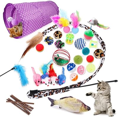 28 pièces d'accessoires de jouets interactifs pour chat accessoires