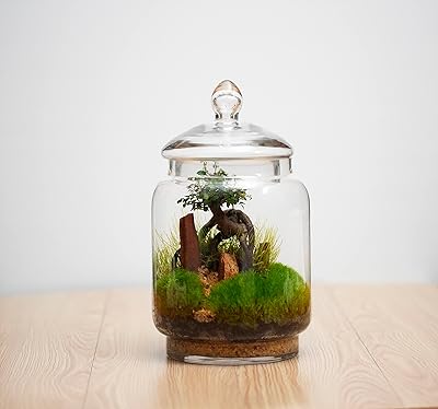 Terrarium de fleurs forestry life en biobottle autosuffisant sans entretien microphylles. DIAYTAR COTE D'IVOIRE est une boutique en ligne généraliste qui propose plus de 300 000 références de produits. Elle est considérée comme l'une des boutiques en ligne les plus importantes et les plus populaires de Côte d'Ivoire. Elle offre une large gamme de produits pour répondre aux besoins de ses clients.