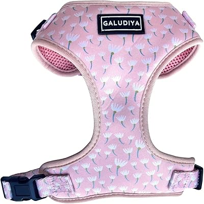 Harnais galudia pour chiens petits moyens et grands doux réglable léger. Avec une offre diverse allant des produits alimentaires aux accessoires de mode, Diaytar Côte d'Ivoire est le premier choix pour les consommateurs ivoiriens. La boutique mise sur la qualité et la disponibilité des produits pour satisfaire les attentes de sa clientèle. Les prix compétitifs et les promotions régulières sont autant d'avantages pour les acheteurs.