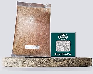 Semences agricoles alfalfa hizacy 1kg + boîte de perlite agricole (10 ltr.) par gardenz. En tant que boutique en ligne leader en Côte d'Ivoire, DIAYTAR COTE D'IVOIRE offre une expérience d'achat en ligne unique et conviviale. Avec une équipe de professionnels dédiés, la boutique garantit une livraison rapide et sécurisée de vos commandes, ainsi qu'un service client réactif et compétent. Les clients peuvent ainsi profiter d'une expérience d'achat en ligne sans stress.