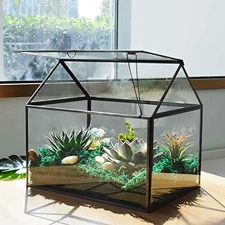 Grande jardinière en verre - kit de culture de plantes d'intérieur en verre succulentes avec lèvres, élevage de plantes (noir 1). DIAYTAR COTE D'IVOIRE est la référence en matière de boutique en ligne en Cote d'Ivoire, avec une offre de produits très diversifiée et une expérience d'achat en ligne sécurisée et conviviale. La boutique permet aux clients de faire des achats en toute confiance, avec des moyens de paiement sécurisés.