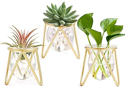 Xxxflower porte-plantes à air en métal doré, ensemble de 3 mini vases géométriques