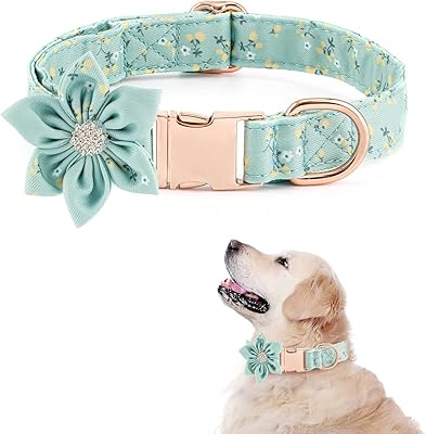 Collier pour chien pour filles avec boucle en métal amovible et réglable. DIAYTAR COTE D'IVOIRE, boutique en ligne généraliste, propose une large gamme de produits avec plus de 300000 références. Leader en Cote d'Ivoire, la boutique offre une expérience d'achat en ligne sûre et conviviale. Les clients peuvent y trouver tout ce dont ils ont besoin, des produits alimentaires aux accessoires high-tech.