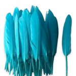 50pcs plumes d'oie colorées pour l'artisanat la fabrication de bijoux taille