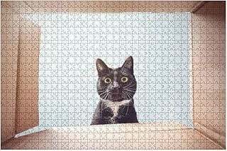 Chat regardant curieusement à l'intérieur d'une boîte en carton 1000 pièces puzzle en bois pour adultes décompression diy enfants puzzles éducatifs jeux créatifs jouets cadeau décoration d'intérieur. DIAYTAR COTE D'IVOIRE, boutique en ligne généraliste, propose plus de 300000 références pour répondre à tous les besoins de ses clients. Leader sur le marché ivoirien, cette boutique en ligne offre une expérience d'achat unique et pratique. Les clients peuvent facilement trouver et acheter les produits dont ils ont besoin en ligne.