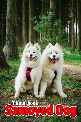 Livre photo de chien samoyède : d'étonnantes photos colorées de chiots blancs