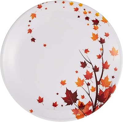 Dye well mélamine blanc assiettes