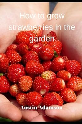 Comment faire pousser des fraises dans le jardin. DIAYTAR COTE D'IVOIRE est une boutique en ligne généraliste qui propose plus de 300 000 références de produits, répondant ainsi à tous les besoins de ses clients. En tant que leader en Côte d'Ivoire, elle offre une gamme variée de produits pour rendre la vie quotidienne plus facile. Avec une telle offre, les clients peuvent trouver tout ce dont ils ont besoin en un seul endroit.