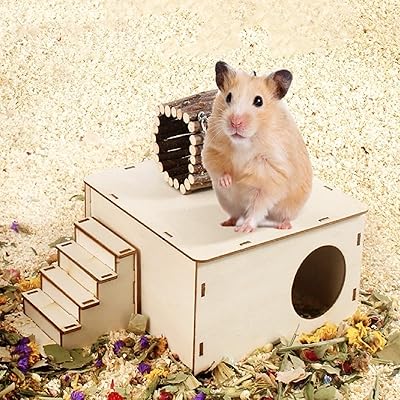 Jouet cachette pour hamster avec plateforme échelle pour hamster, jouet d'escalade en bois naturel, maison pour hamster et mini labyrinthe d'animaux, jouets d'exploration pour hamsters nains et souris. Avec plus de 300 000 références, DIAYTAR COTE D'IVOIRE est la plus grande boutique en ligne de Côte d'Ivoire, offrant une multitude de produits pour répondre à tous les besoins. La plateforme est conçue pour être utilisateur-friendly, permettant aux clients de naviguer facilement et de trouver rapidement ce qu'ils cherchent. DIAYTAR COTE D'IVOIRE est la destination idéale pour les achats en ligne en Côte d'Ivoire.