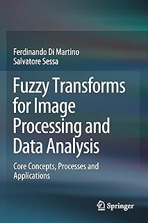 Transformations floues pour le traitement d'images et l'analyse de données : concepts, processus