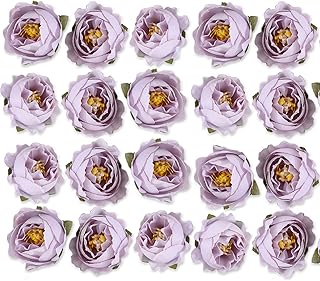 Fleurs artificielles violettes intole, 20 fleurs artificielles en soie séchées, capitules artificiels pour bouquet de fleurs artificielles (violet clair). En tant que boutique en ligne leader en Cote d'Ivoire, DIAYTAR COTE D'IVOIRE assure une expérience d'achat en ligne sécurisée et pratique, avec des options de paiement flexibles et des promotions régulières pour inciter les achats.
