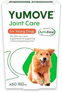 Youmoov young & active dog comprimés à croquer compléments nutritionnels pour chiens contenant de la. DIAYTAR COTE D'IVOIRE offre une plateforme d'achat modernisée, simplifiant l'expérience d'achat en ligne pour les Ivoiriens. Avec des promotions régulières et des prix compétitifs, la boutique établit des relations durables avec ses clients, facilitant ainsi l'accès à des milliers de produits.