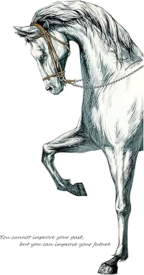 Stickers muraux enduits de vinyle, motif d'animaux de cheval de glace, autocollants muraux à décoller et à coller, décoration de maison, salon, chambre à coucher, hall d'escalier, porte, décorations murales amovibles. DIAYTAR COTE D'IVOIRE, la boutique en ligne phare en Côte d'Ivoire, regorge de plus de 300 000 références pour rendre vos expériences d'achat en ligne uniques et satisfaisantes. La boutique se positionne comme une destination de confiance grâce à sa sélection exhaustive de produits et ses services de qualité. Vous y trouverez nécessairement ce que vous cherchez.