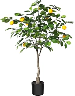 Citronnier artificiel kazdala de 90 cm de haut et de long arbre végétal artificiel pour la décoration intérieure et extérieure du salon de la maison. DIAYTAR COTE D'IVOIRE est une boutique en ligne généraliste qui propose plus de 300 000 références de produits divers. Elle est leader en Côte d'Ivoire et offre une grande variété de choix pour les consommateurs. Les produits proposés vont des articles ménagers aux électroménagers en passant par les produits alimentaires.