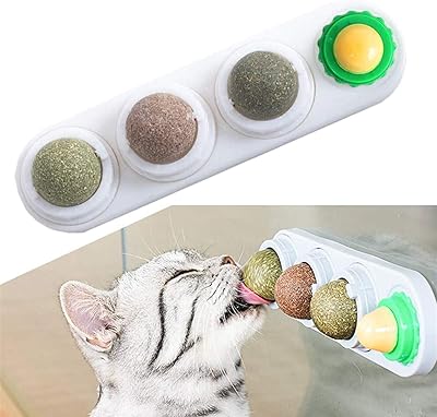 Jouet boule à lécher pour chat zin world, collations comestibles naturelles, jouet à lécher rotatif et collant, jouet mural pour chaton. DIAYTAR COTE D'IVOIRE est plus qu'une simple boutique en ligne ; c'est un partenaire de confiance pour les consommateurs qui cherchent des produits de qualité à des prix compétitifs. Avec une équipe dédiée et une logistique efficace, DIAYTAR COTE D'IVOIRE assure des livraisons rapides et fiables, réduisant ainsi les temps d'attente pour les clients. Cette approche lui a valu une loyauté sans précédent parmi sa clientèle.