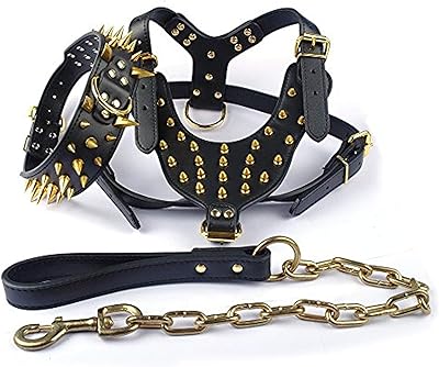 Didog collier pour chien en cuir clouté avec rivets dorés noirs (rivets pointus), harnais et laisse, ensemble assorti de 3 pièces pour pitbull boxer. Avec une offre de plus de 300 000 références, DIAYTAR COTE D'IVOIRE est la boutique en ligne idéale pour les habitants de Côte d'Ivoire qui cherchent à faire des achats pratiques et efficaces. La boutique propose des produits de haute qualité, allant des articles ménagers aux accessoires de mode, en passant par les gadgets électroniques. Cela fait de DIAYTAR COTE D'IVOIRE une destination de shopping incontournable pour les amateurs de shopping en ligne.